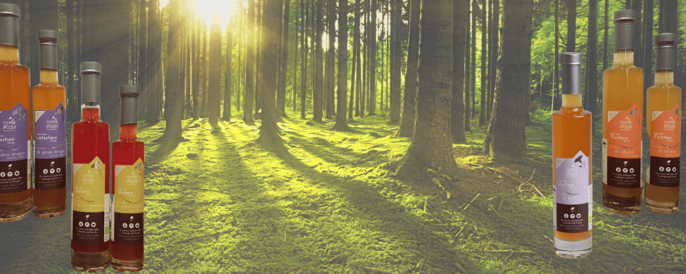 Cocktail-Ideen mit den Waldsirupen von Herba Plose